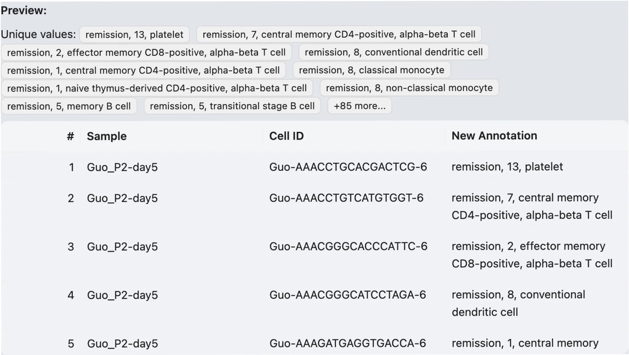 Annotation Preview Annotation Preview