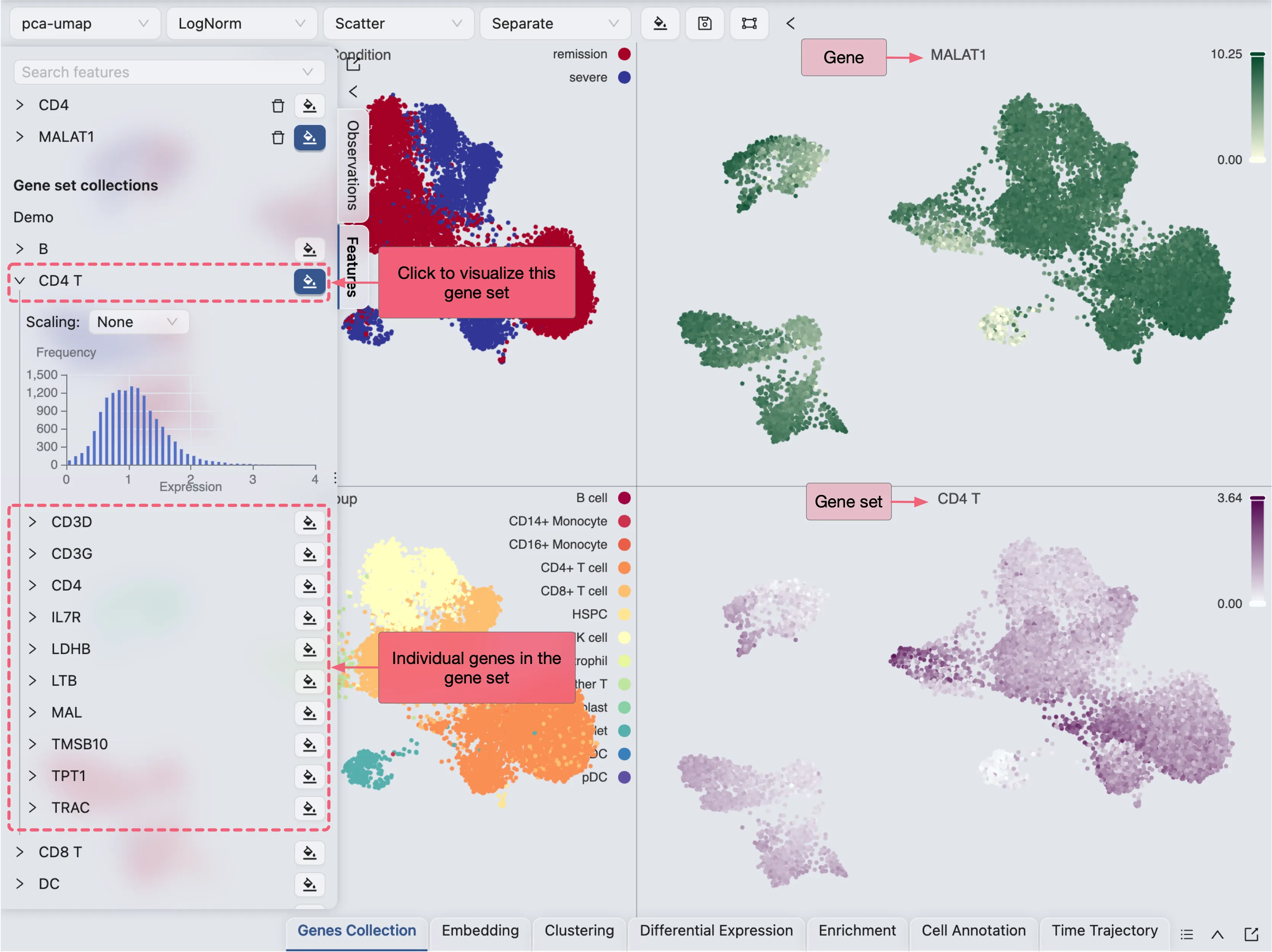 Visualize Gene Set Collection Visualize Gene Set Collection